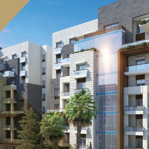 Video of OIA, New Capital